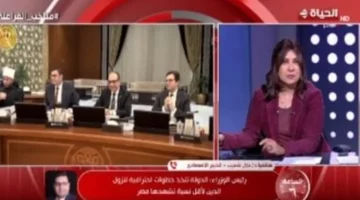 حدود آمنة.. خبير يكشف مؤشرات تراجع الدين العام واستقرار سعر الصرف بالأسواق